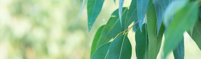 Nature’s Way – Rebirthing Breathwork a pathway to “being you”